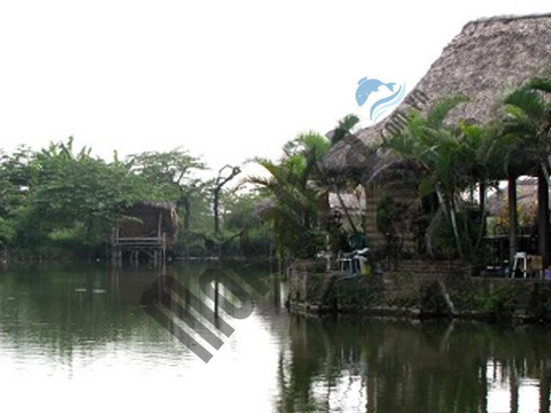 Một số địa điểm câu cá giải trí lý tưởng quanh Hà Nội